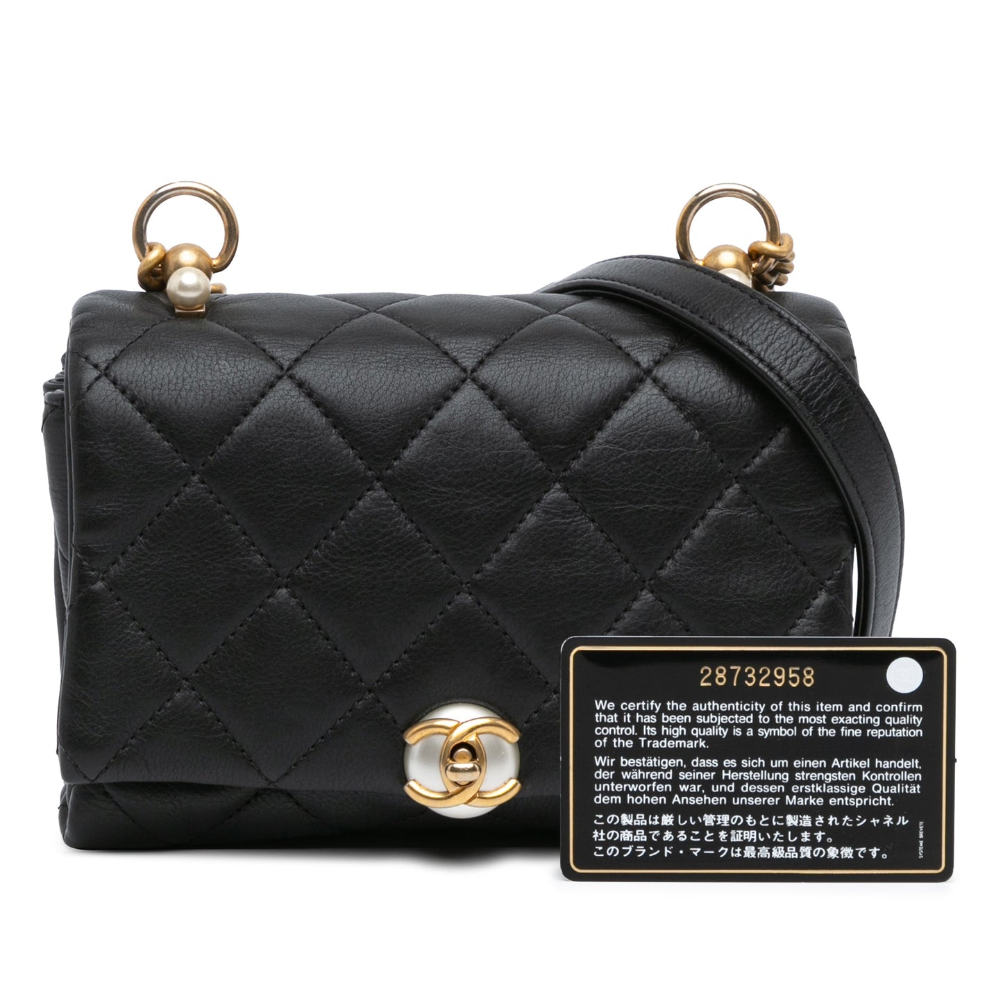 Chanel Quilted Calfskin Pearl CC Accordion Flap Black